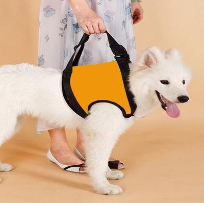 Hund Ausbildung Leinen Aids Vorderbein Hinterbein Helfen Alten Hund Behinderte Tier Geschirre Verletzungen Verwenden Rehabilitation Unterstützen Gürtel Ältere: M / Orange Foreleg