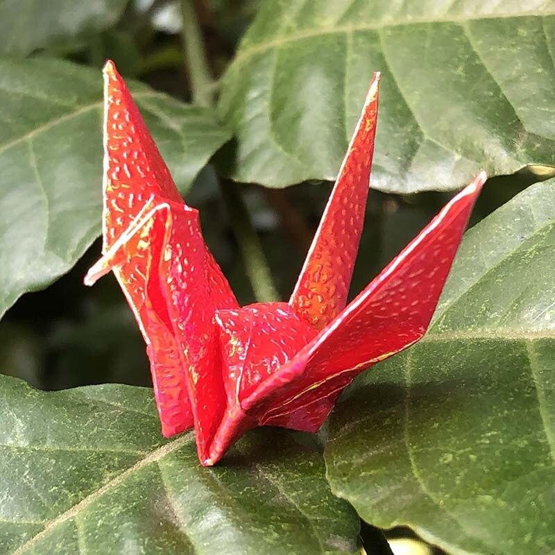 20P Glitter Origami Paper Cranes Folded Paper Cranes Birds DIY Wedding Birthday Party Backdrop Children Home Decoration Supplies: Red 20pcs