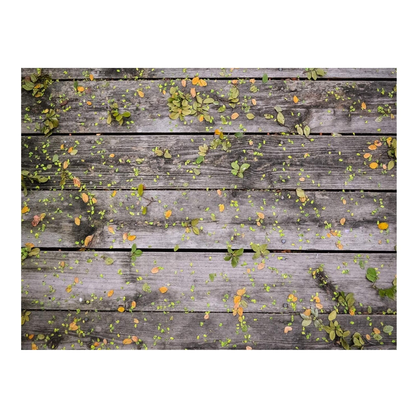 Imitation Wood Grain Photography Props 3d Photo Background Cloth Presentation Home Wall Sticker Room Decoration: C