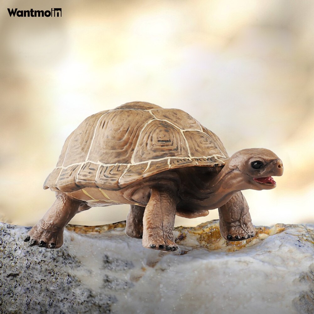 Wantmoin Tortoise animal model Galapagos tortoise tortoise model figure animal toy educational collection children