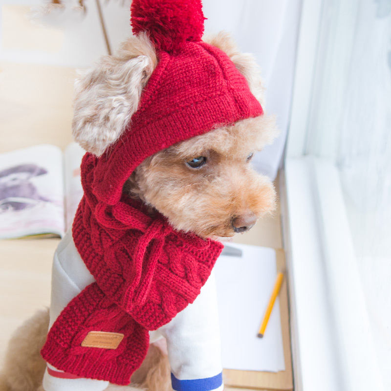 Luksus strikning kæledyr hatte tørklæde vinterpleje tilbehør sæt rød sort grå bomuld katte hunde forsyninger til chihuahua yorkshire