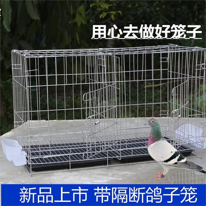 Tourterelle Cage perles cou tourterelle Cage cochon sauvage Cage traditionnelle bambou poulailler médias captivité Cage y compris Acces
