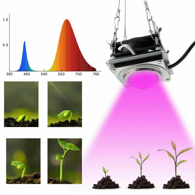Hydroponic Veg Plant Full Spectrum COB Plant Growth Light 50W LED Greenhouse Vegetables Succulent Fill Light