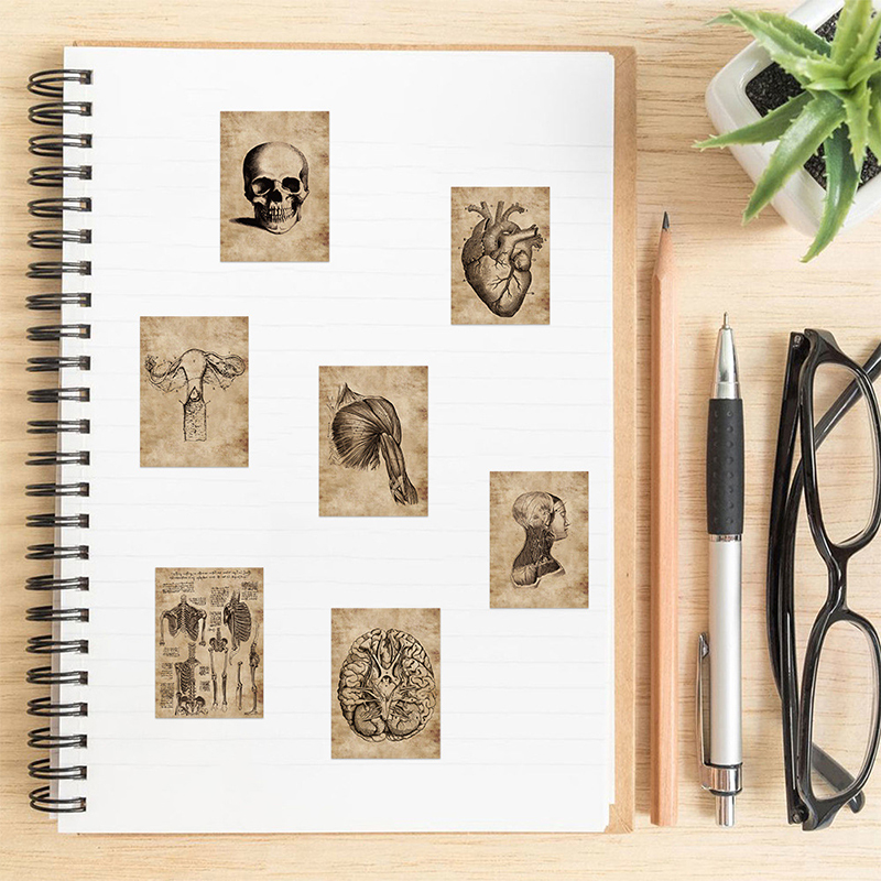 Pegatina de Graffiti adhesiva para niños, diagrama de órgano Vintage, pegatina estética de PVC, cuaderno de bocetos decorativo para teléfono, álbum de recortes para niños, 10, 30, 56 piezas