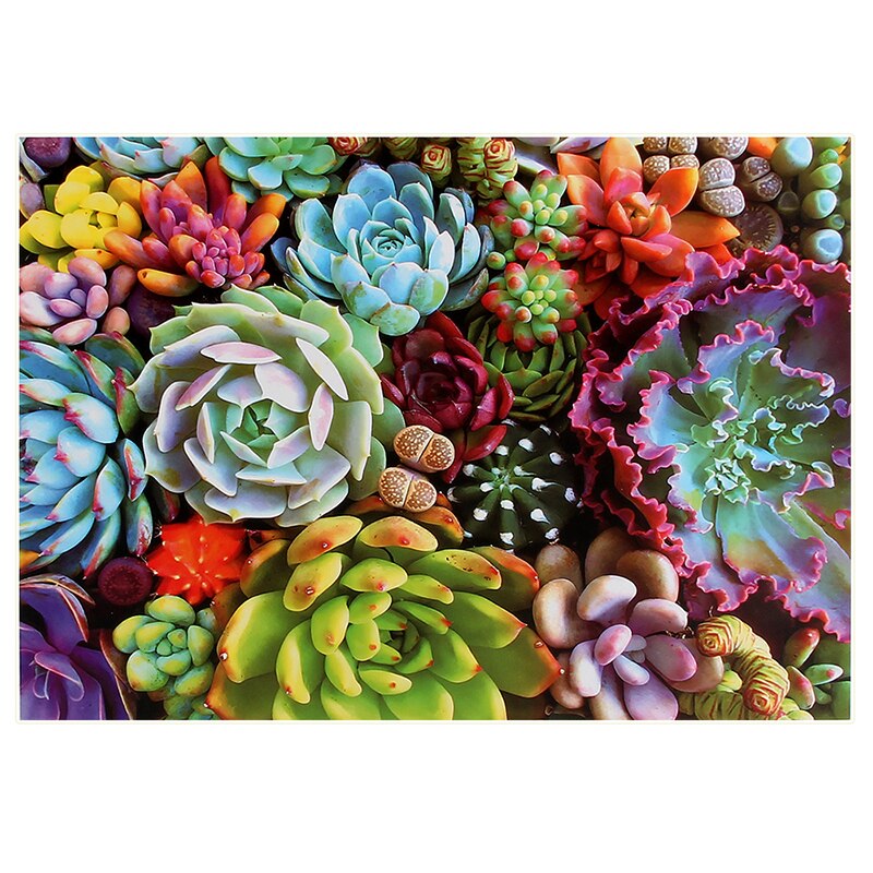 Succulent Plants Puzzle 1000 Pieces Jigsaw Puzzle for Adults Kids