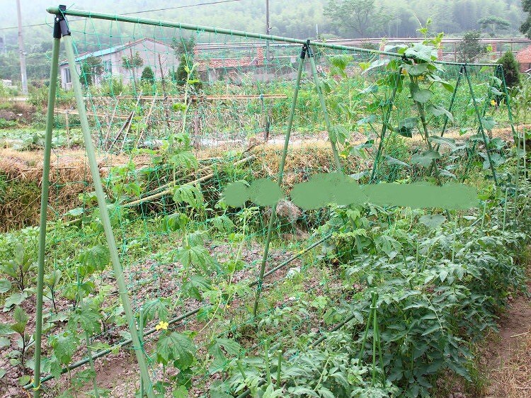 Freies 1,8x3,6 mt Garten Netz Reben Anlage Kletter... Grandado