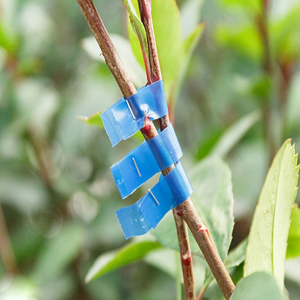 10000 pcs Tape Tool Tapener Tying Staple pin Nail Tape Tool fruit tree Secateurs Machine Pack Plant Garden Trunk Connect Tool