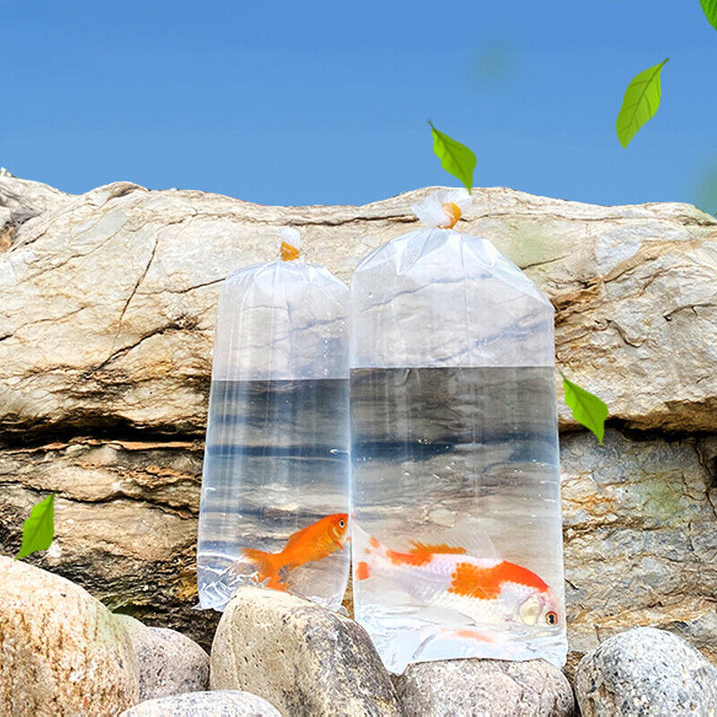 50 Uds. Bolsas de respiración para acuario bolsas de respiración transporte LongLife peces camarones bolsas de plástico a prueba de fugas para peces vivos duraderos