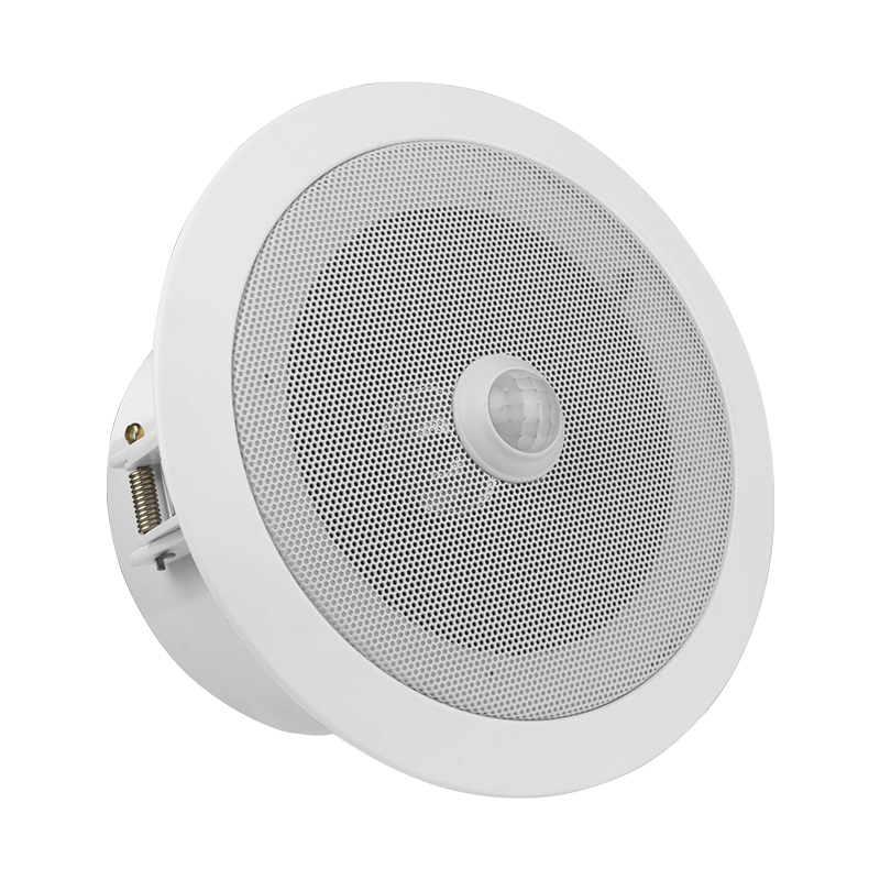 Plafond PIR Motion Sensor Audio Player Overhead Speaker Ingebouwde MP3 Speler met 10 Watt Versterker Spraakmelder