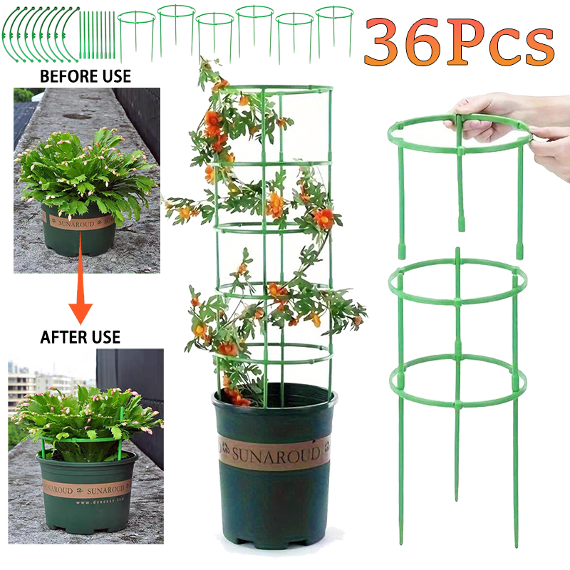 Piquets de Support pour plantes, treillis demi-cercle pour plantes en pot, bonsaï, Support de fleurs de vigne, Clips à tige fixe, outils de jardinage, 6 à 36 pièces