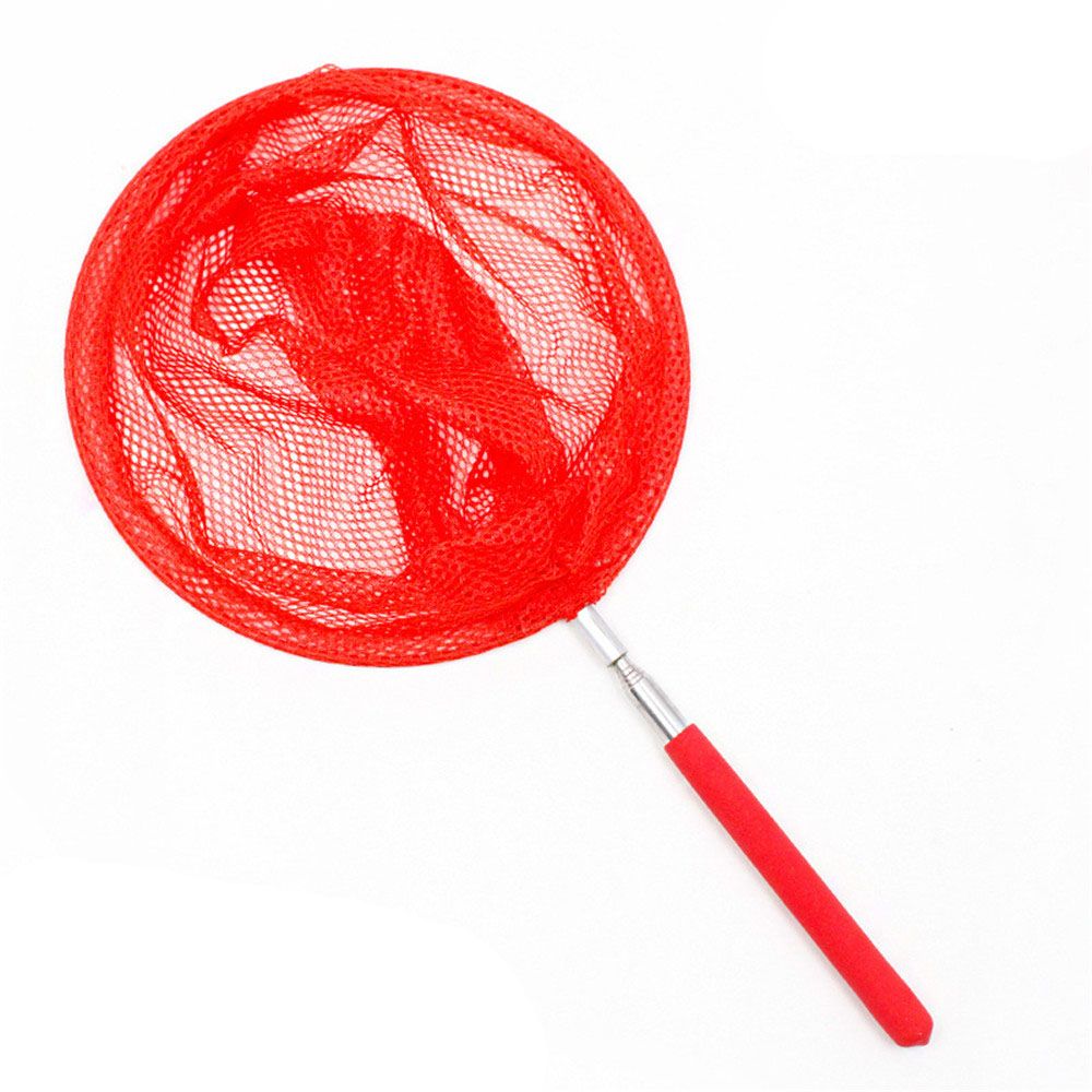 Red de pesca telescópica extensible para niños, malla ligera de 34 pulgadas para atrapar insectos, Red de mariposa: red