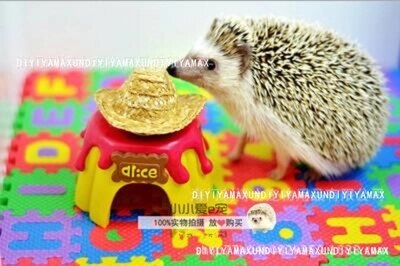 Tegneserie puslespill gulv terrarium dekorasjon hamster gulvmatte lite kjæledyr aktivitet teppe