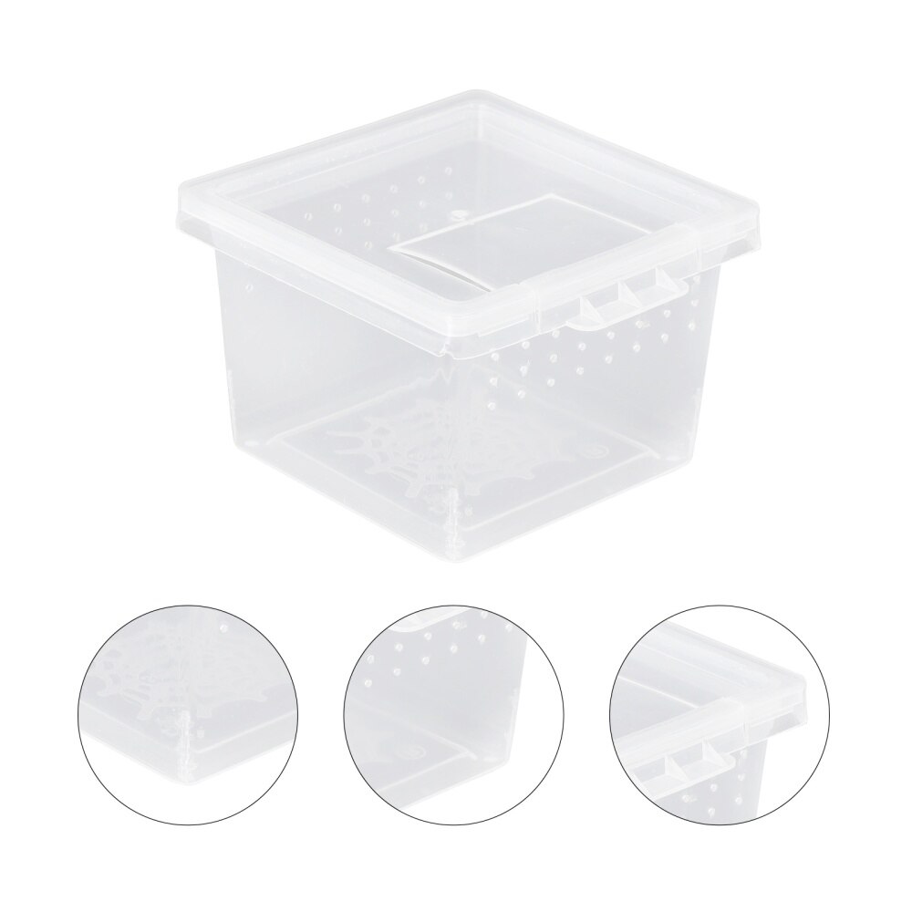 10pcs Practical Insect Feeding Box Reptile Breeding Box Convenient Creeper House