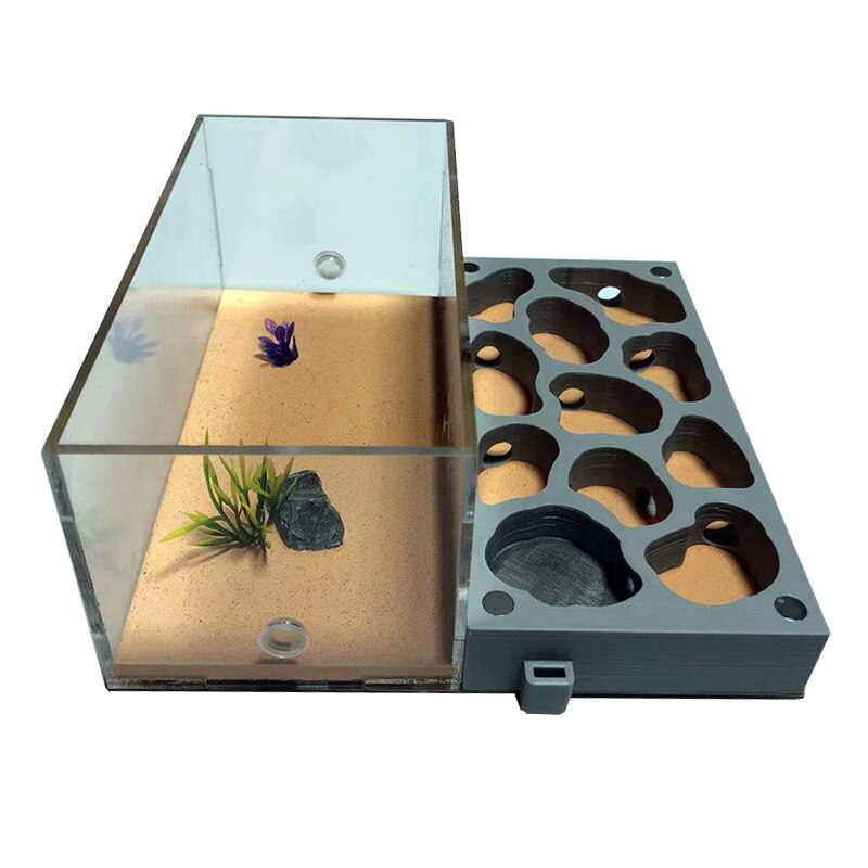 3D Acryl Ant Farm Ecological Flat Ant Nest with Feeding Area Concrete Ant House Pet Anthill Workshop Moisturizing Water Pool