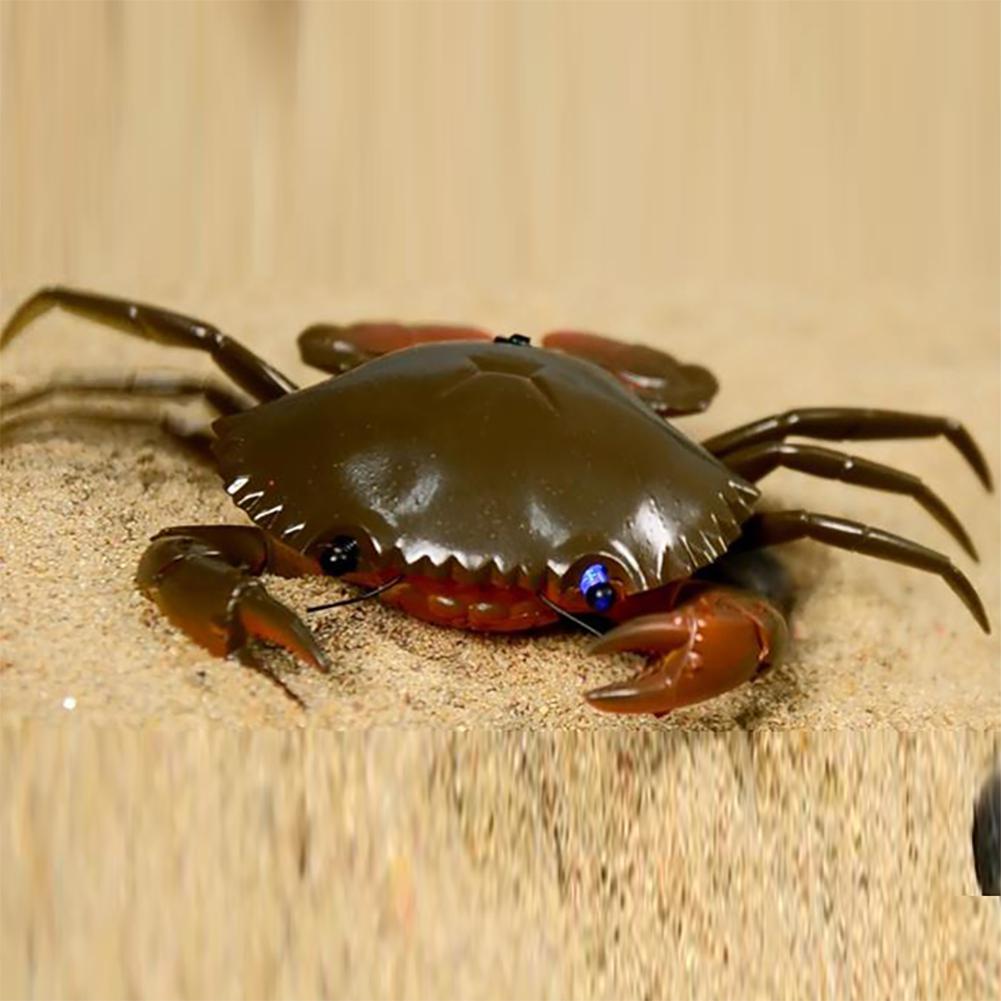 Hobbylane simuleringsmodel fjernbetjening krabber kravler legetøj elektrisk pædagogisk legetøj til børn