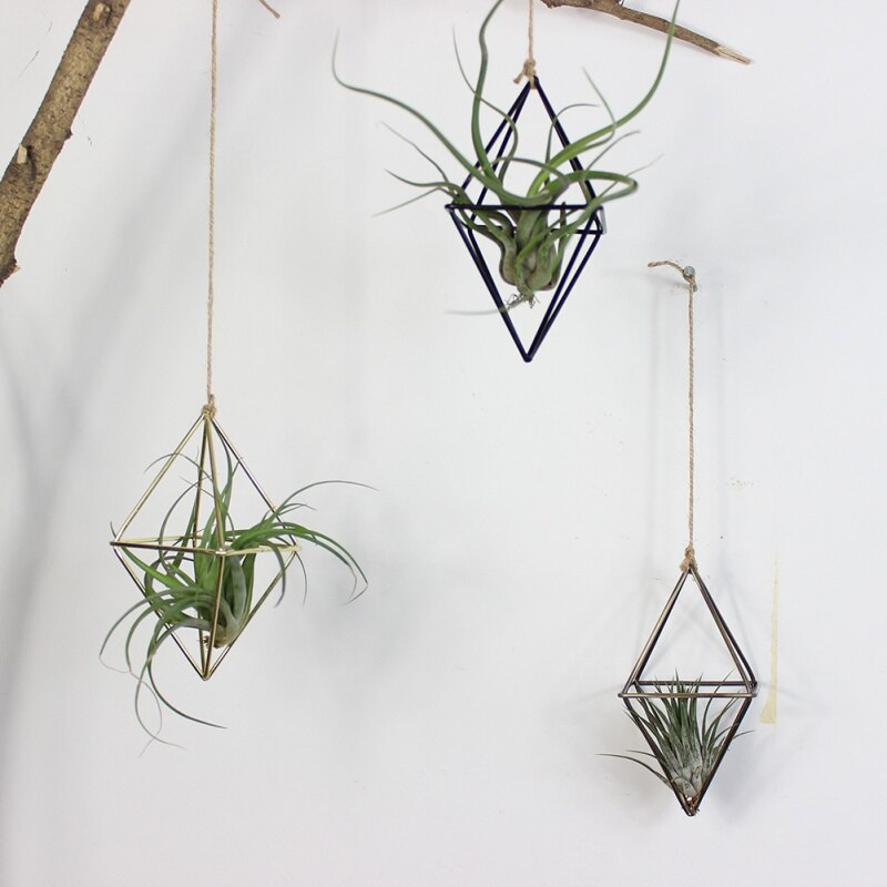 Fritstående hængende plantager geometrisk sving smedejern tillandsia luftplanter holder trekantet metalstativ sort