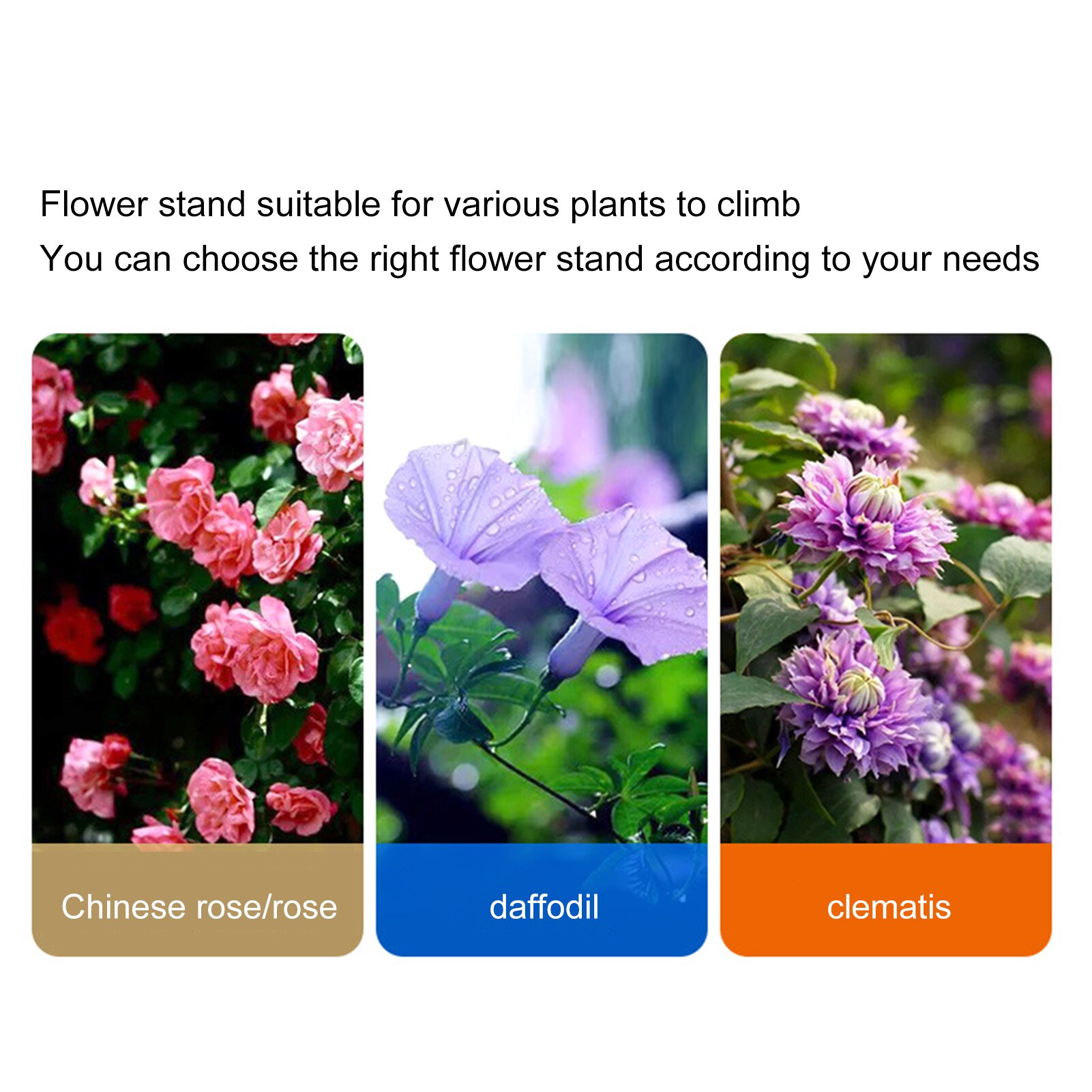 Plant Climbing Frame Support Cage Flower Holder Gardening Tool Rattan Plant Frame Rose Clematis Bamboo Pole Support Frame