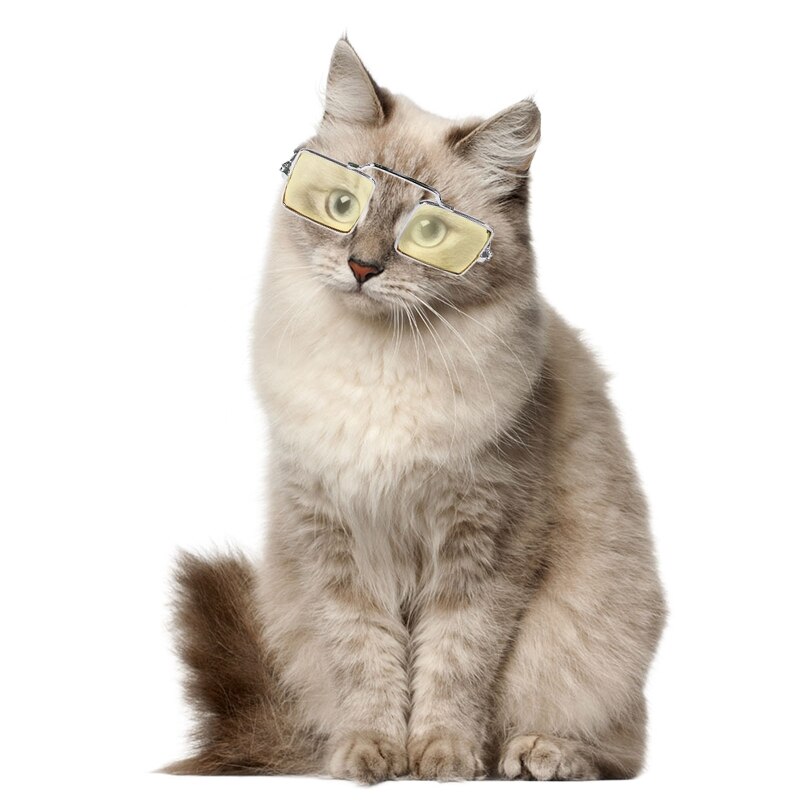 Occhiali per gatti Pet Cat Dog occhiali da sole pieghevoli Lovely Pet Eyewear foto puntelli moda Cool Dog Cat Eye occhiali accessori per animali domestici