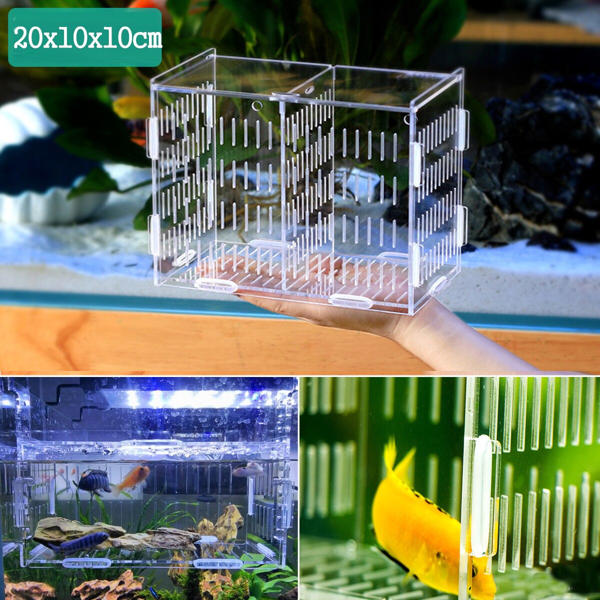 Hook Type Acrylic Aquarium Baby Betta Fish Tank Breeding Box Hatchery Isolation Cage House Aquatic Pet Supplies Transparent