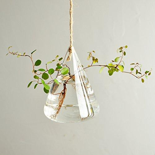 3 Pcs Home Decor Glass Hanging Planters Glass Planters Glass Terrariums Flower Pots