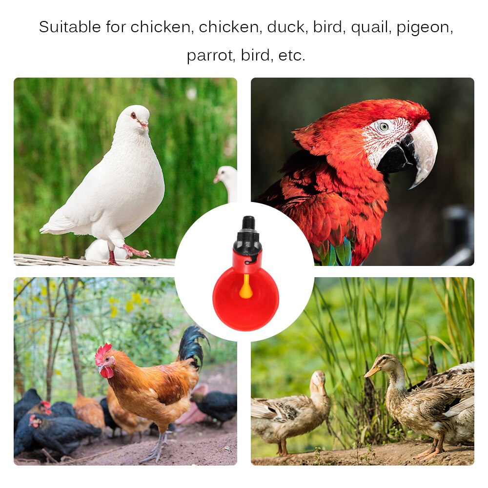 10Pcs Automatic Chicken Drinking Cups Rooster Hen Drinker Fountains Farm Animal Poultry Feeding Watering Supplies
