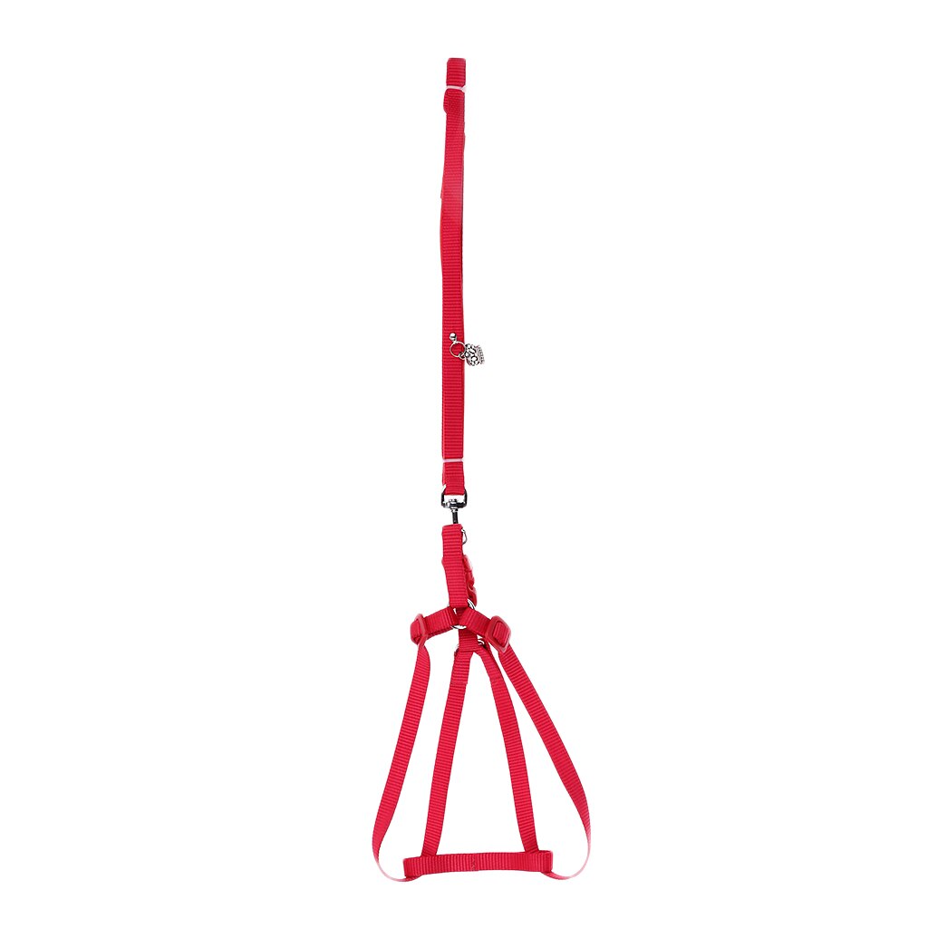 Reptile Lizard Gecko Bearded Dragon Harness And Leash Adjustable Light Anti-bite