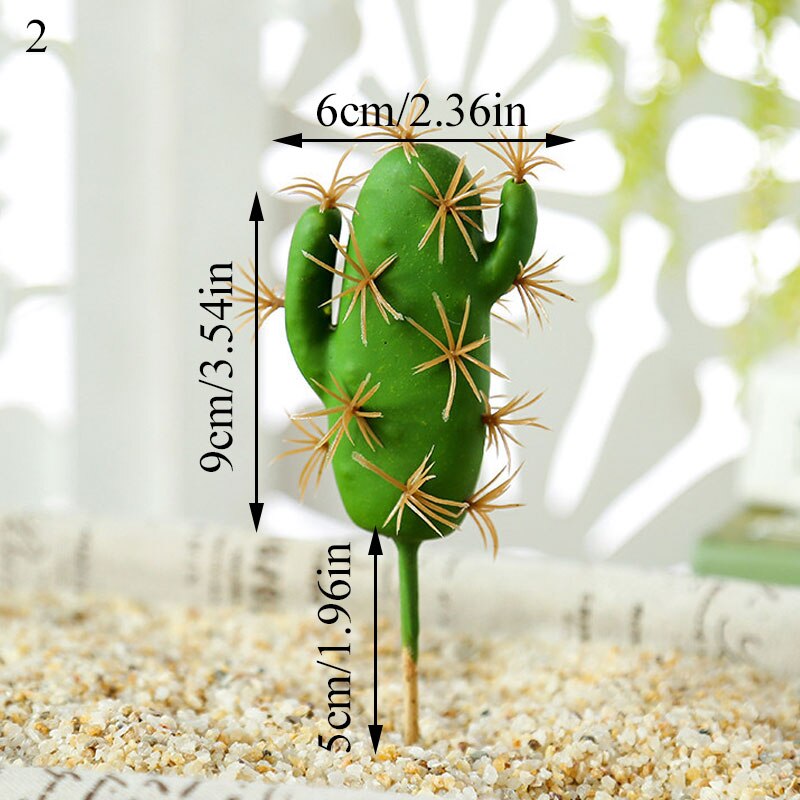 Graines de graines pour Aquarium, plante aquatique, graines faciles, Aquarium, aménagement paysager: 2