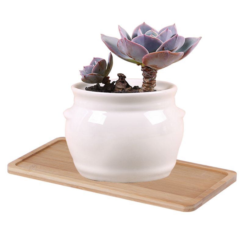 Rectangle Shape Bamboo Saucer Plant Tray Mini Plant Flower Pot Stand Favor Succulent Pot Tray Simple Home Balcony