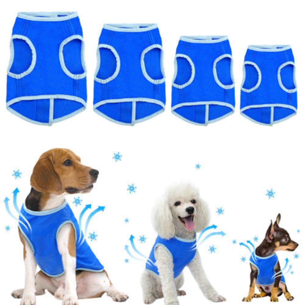 Pet Dogs Summer Cooling Jacket Coat Vest T-shirt Clothes For Dogs Outdoor Walking Pets Heatstroke Coat Clothes Blue: Blue-M