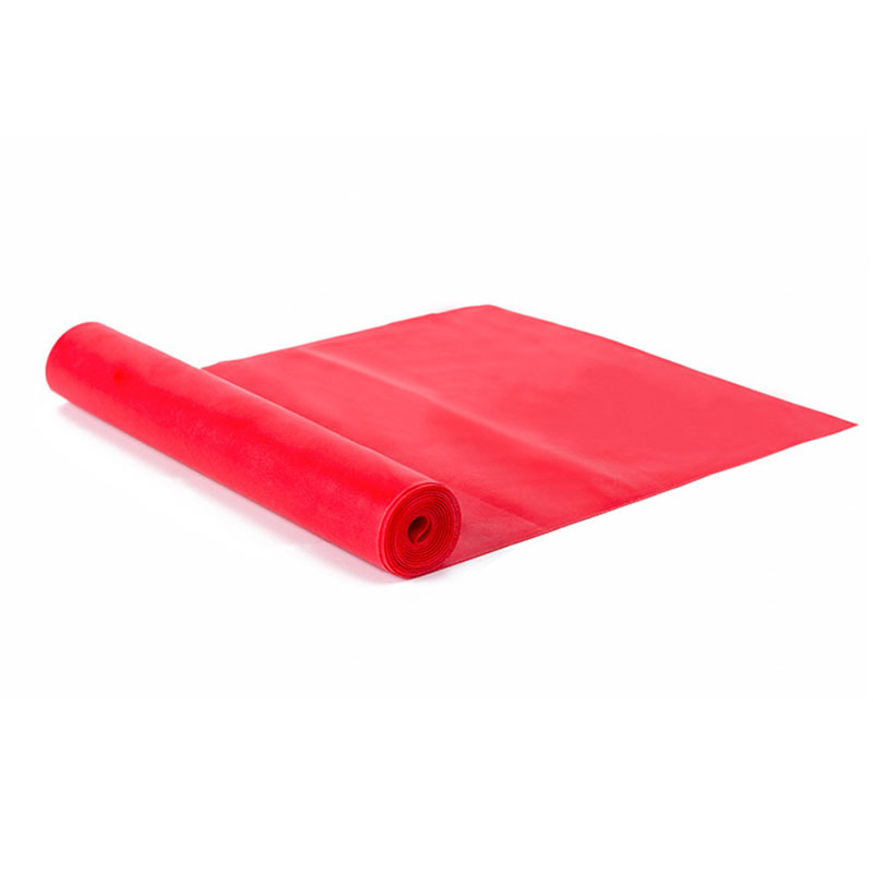 Banda de resistencia para Yoga, Pilates, bandas elásticas de entrenamiento largo para fisioterapia, bandas elásticas de ejercicio de fuerza para el hogar y la parte inferior del cuerpo: Rojo