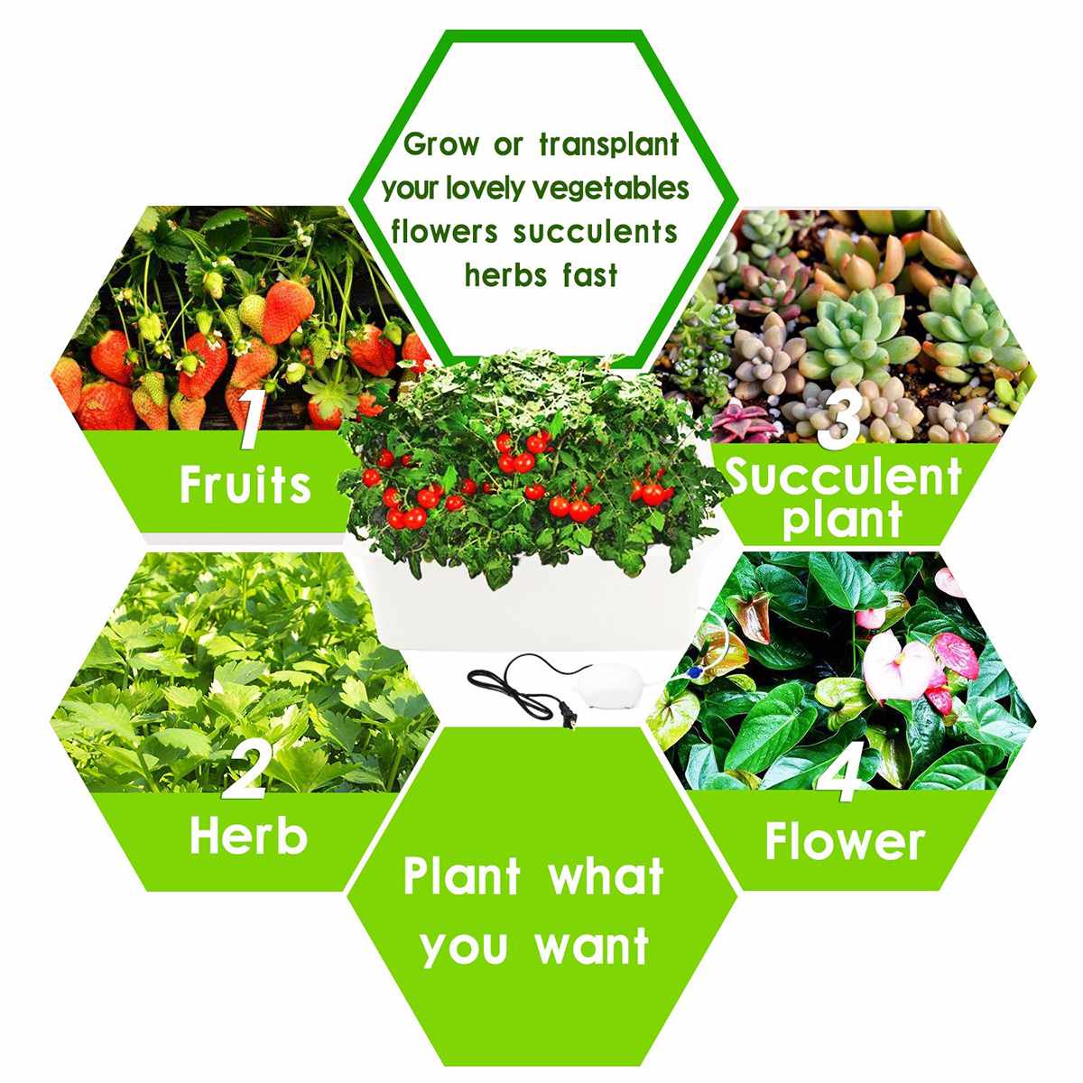 Solar power Hydroponic System Garden Plant Vegetable Pots Soilless Seedling Planters 6 Holes Growing Box Equipment Nursery Pots