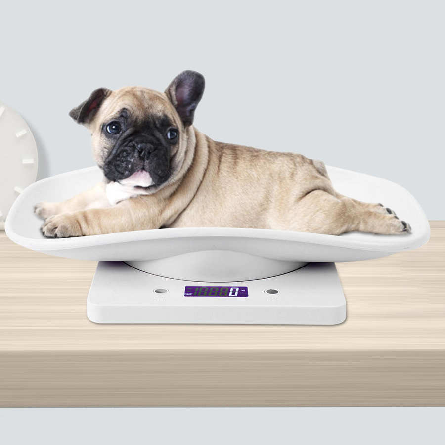 Báscula Digital de cocina de 10kg/1g, pequeña escala de peso para mascotas para gatos y perros, herramienta de medición electrónica