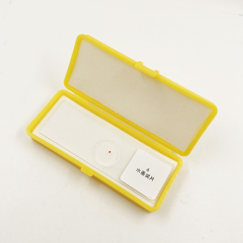 Voorbereid Objectglaasjes Doos Optische Glas Stage Kalibratie Slide Micrometer Plastic Opbergkast Doos Met Spons