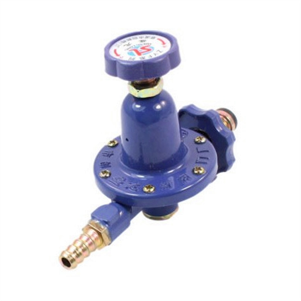1 PC Replacement 1 Inlet 1 Outlet Liquefied LGP Gas Pressure Regulator Dark Blue