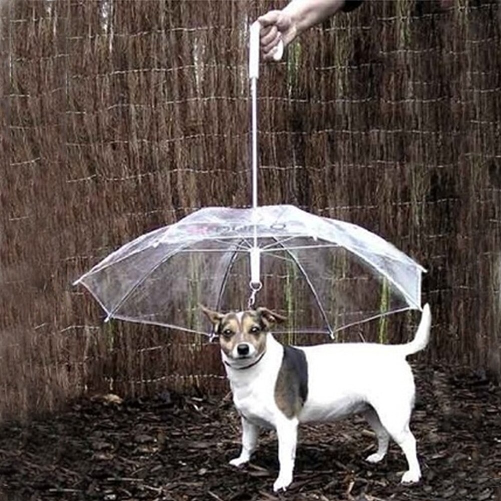 Parapluie Transparent en PE pour animaux de compagnie, équipement de pluie avec fils pour petits chiens, confortable pour les animaux de compagnie sous la pluie et la neige