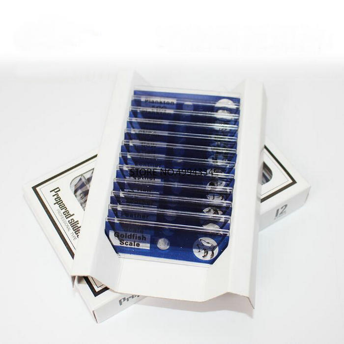 4box/pack/lot Microscope Plastic Slides, Biological Specimen slides safe for Children