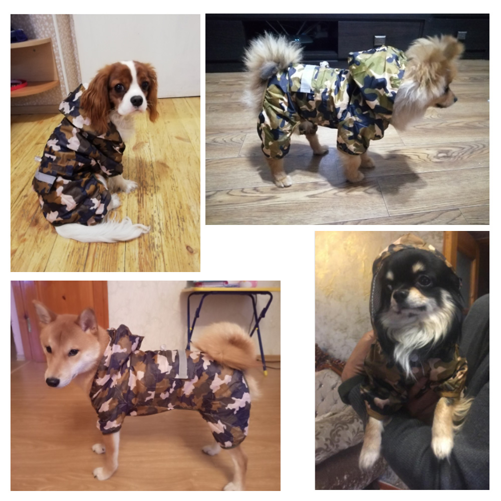 Casual cão de estimação casaco de chuva filhote de cachorro roupas gato capa de chuva jaqueta impermeável ao ar livre capuz vestuário macacão suprimentos para animais de estimação chien
