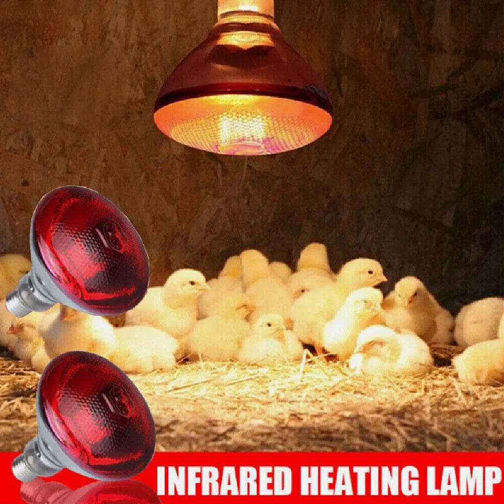 Rode Warmte Gloeilamp Warmte Behoud Lamp Fokken Verwarming Lamp Infrarood Waterdichte Verdikking Baklamp Voor Kuikens Biggen