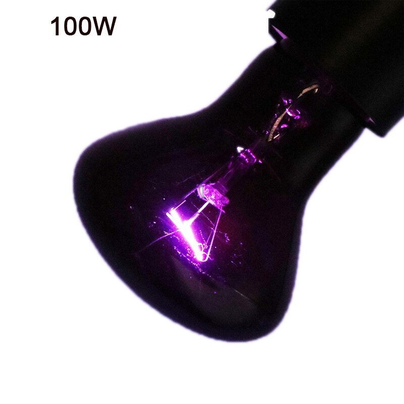 Lámpara calefactora para reptiles, luz roja cálida de noche, aislamiento térmico para lagartos, tortugas, iluminación de animales: Purple-100W