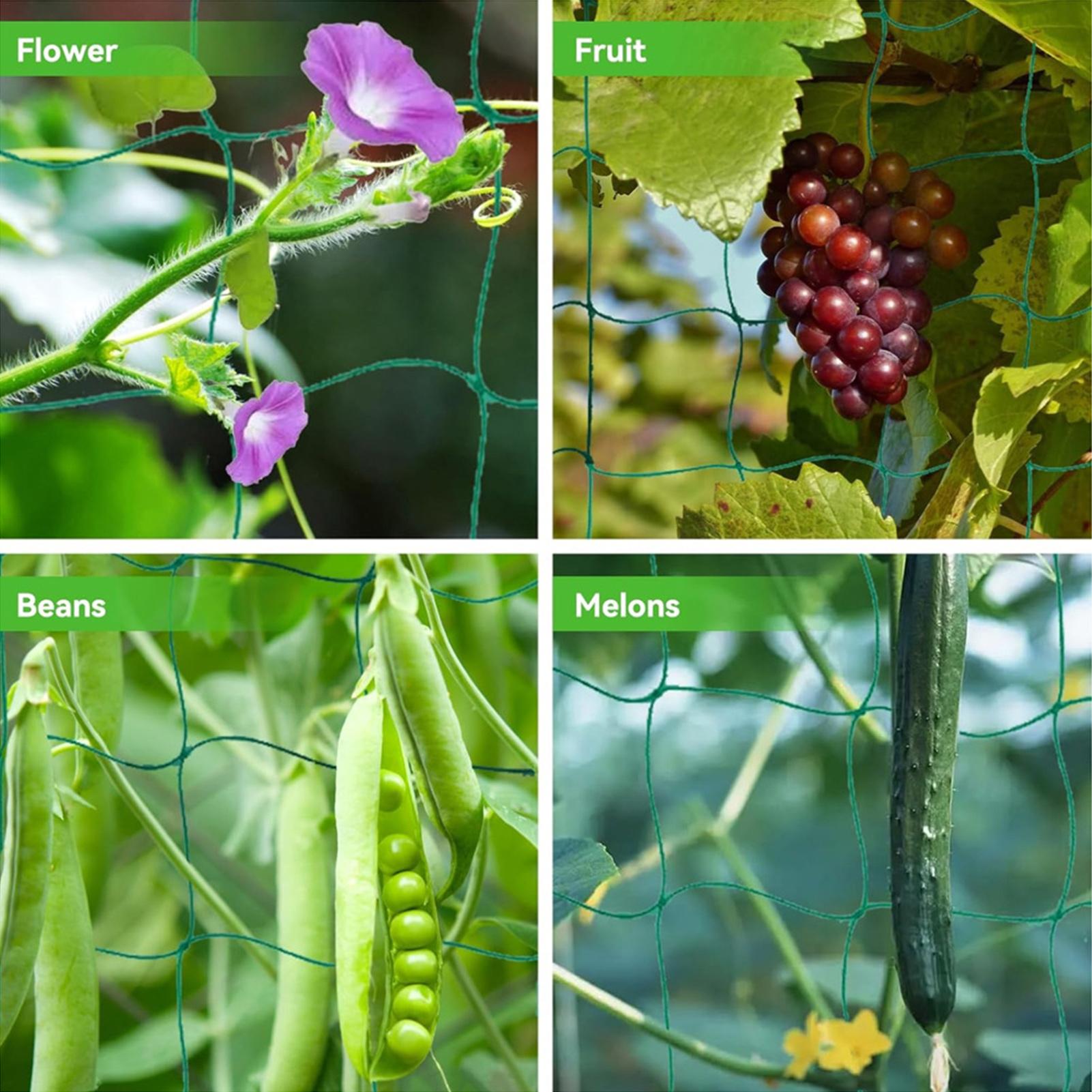 Trellis Netting For Climbing Plants Sturdy Plant Trellis Net Sturdy Cucumber Trellis Flexible Plant Support Grow Net Mesh
