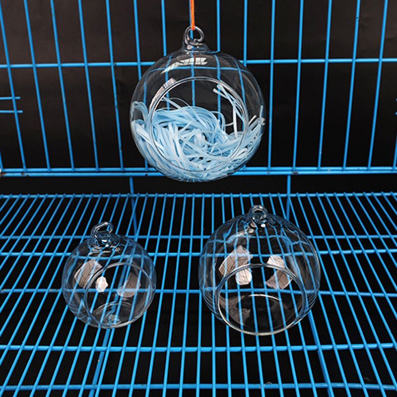 Image showcasing Glass Transparent Hamster Cooling Hut Portable Pet... – Vicedeal
