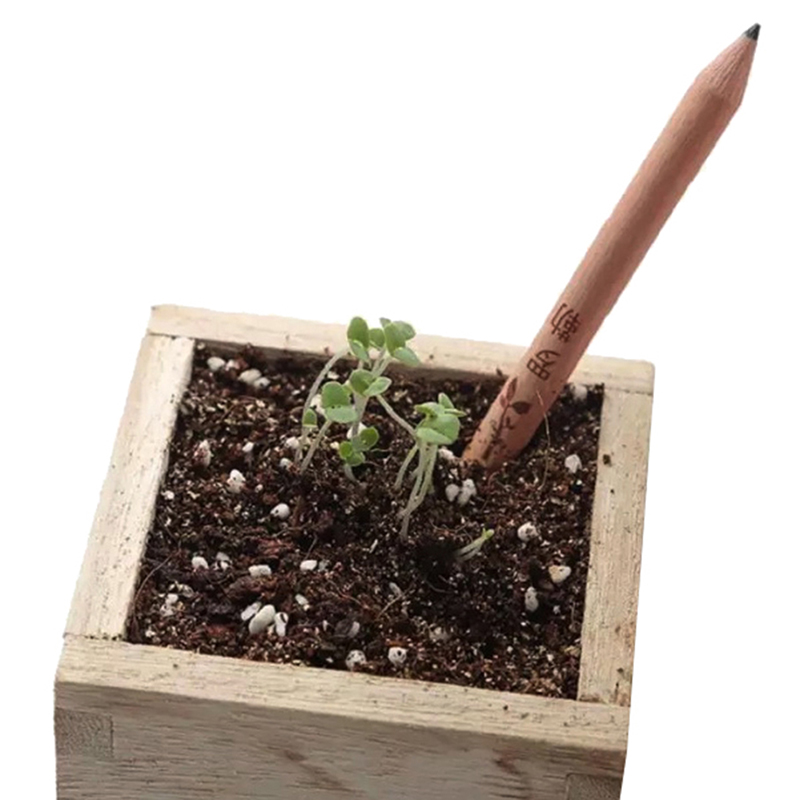 8 stk idé spiring blyant indstillet til at vokse blyant spiret blyant mini diy desktop potteplante speciel kunstnerisk blyant