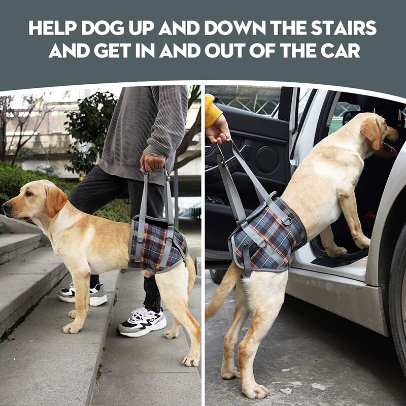 Harnais de soutien pour chien pour jambes avant et arrière gilet de rééducation réglable avec poignée pour vieux chiens handicapés