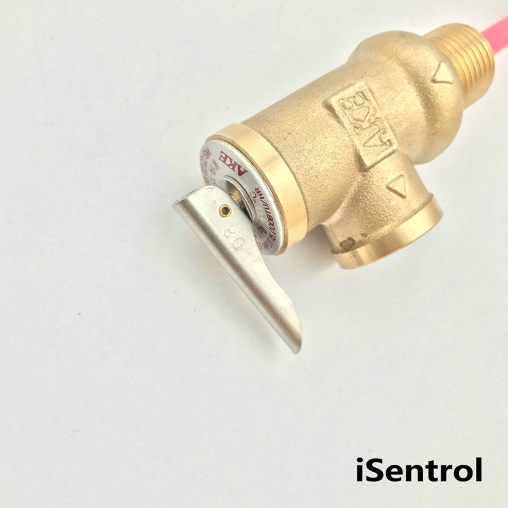 Válvula de seguridad 90 Celsius TP WYA-15 Dn15 G1/2 "válvula de seguridad de temperatura y presión