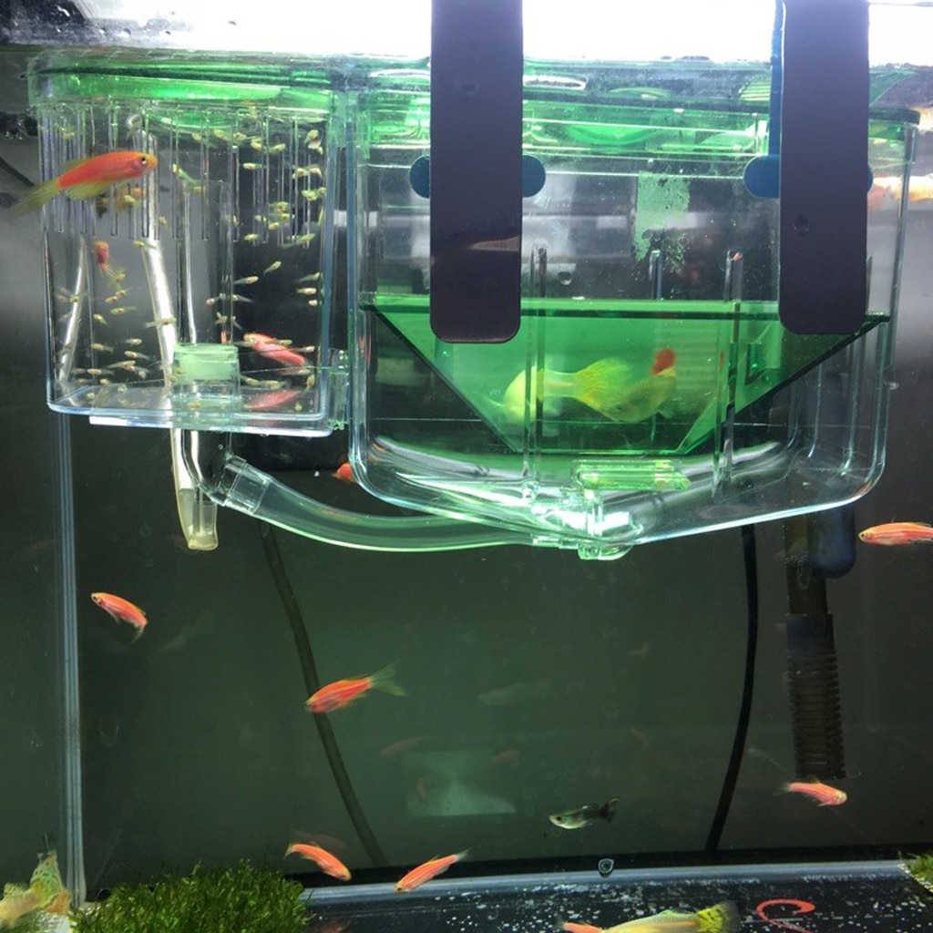 1pc fiskeopdræt voksne fisk unge fisk isolationsboks automatisk cirkulation akvarium inkubator akvarie tilbehør