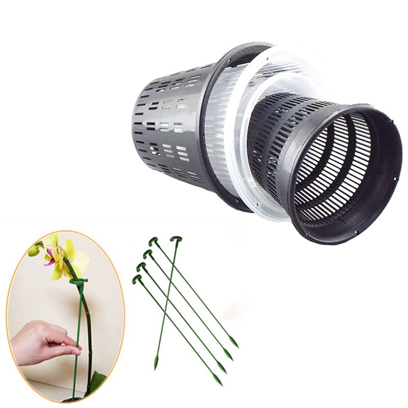 Macetas de plástico transparente para orquídeas, bandeja con agujeros, función de aire, contenedor de crecimiento de raíz, ranuras, Agujero colgante de pared, 5 piezas