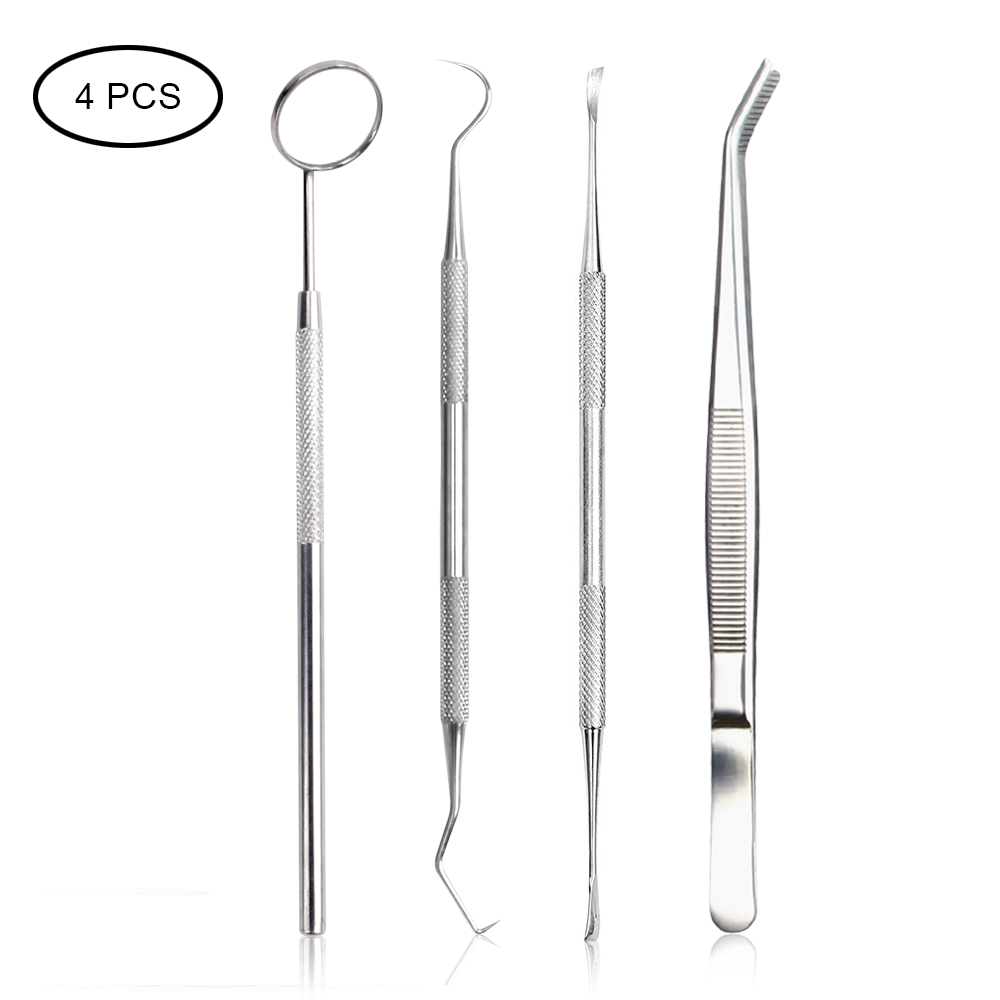 Stainless Steel Dental Tool Set Tartar Scraper Dental Mirror Dental Hygiene Kit Instrument Dental Pick Dentist Prepare Care Tool: 4PCS set B