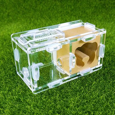 Maur slott maur spleise slott bionisk akryl gips maur reir kjæledyr maur slott verksted hjem maur reir: X2