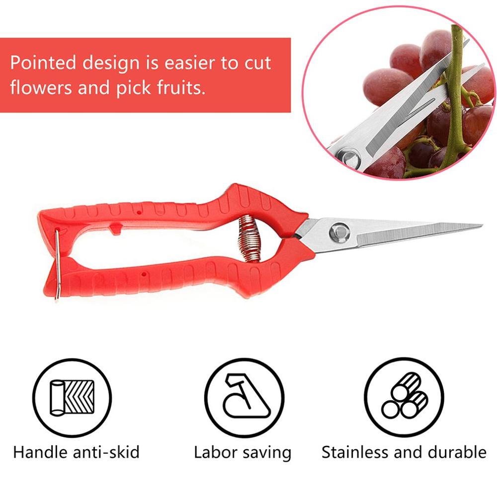 Gardening pruning fruit picking scissors