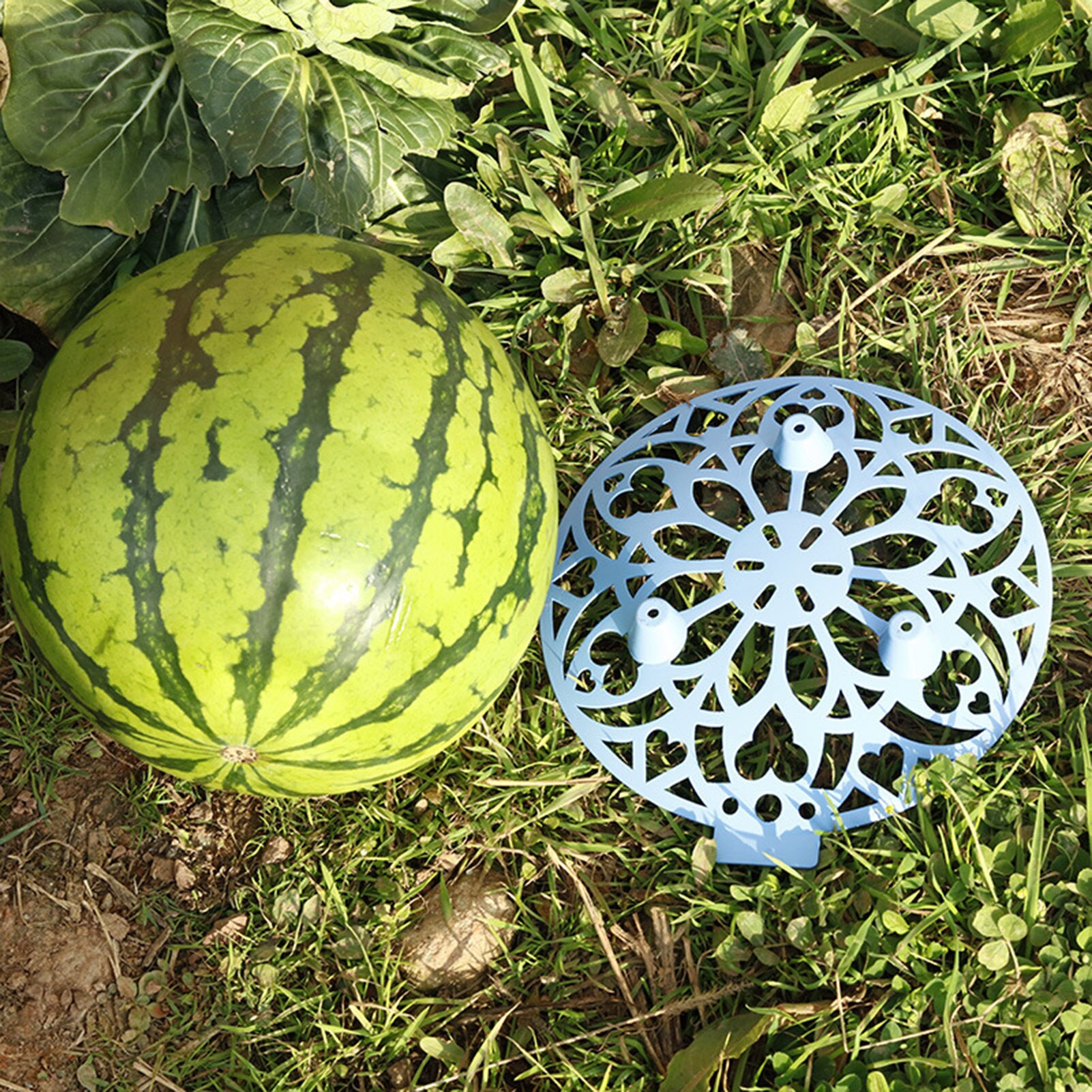 Bandeja de cultivo de fruta y melón, bandeja estable de plástico anticorrosiva para jardín, Base de soporte reciclable para fruta